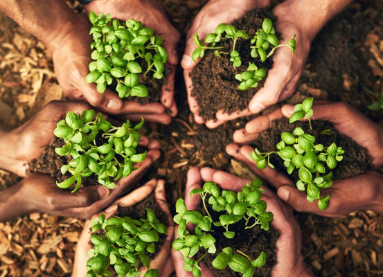Introduction to the Energy and Sustainability Program