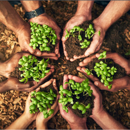 Introduction to the Energy and Sustainability Program